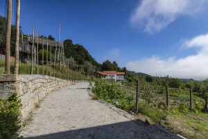 CPEG - Penha - Centro Escutista de Guimarães